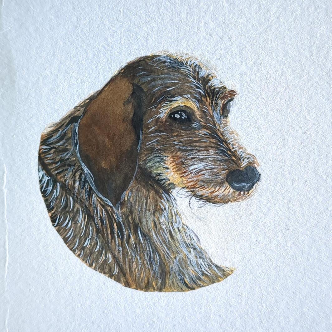 Seppl, Aquarell + Gouache, 10,5 x 14,8 cm (A6)