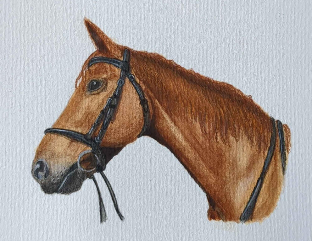 Prinz, Aquarell + Gouache + Buntstift, 10,5 x 14,8 cm (A6)