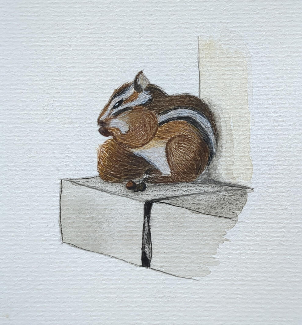 Jeff, Aquarell + Gouache + Buntstift, 10,5 x 14,8 cm (A6)