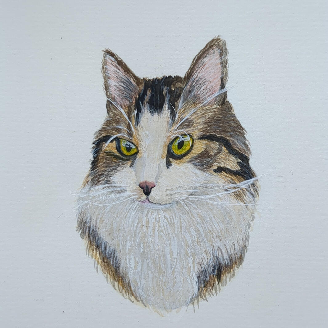 Scratchy, Aquarell + Gouache + Buntstift, 10,5 x 14,8 cm (A6)