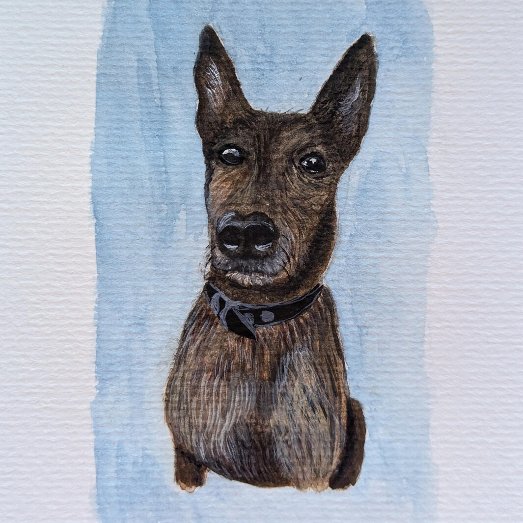 Tigra, Aquarell + Gouache, 10,5 x 14,8 cm (A6)